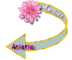 arlette22